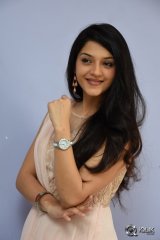 Mehreen at Krishna Gadi Veera Prema Gaadha Movie Thanks Meet